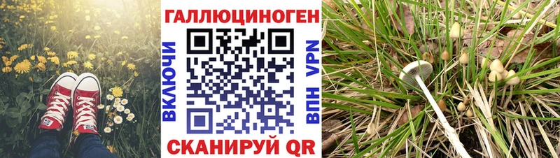 Галлюциногенные грибы мухоморы  Очёр 